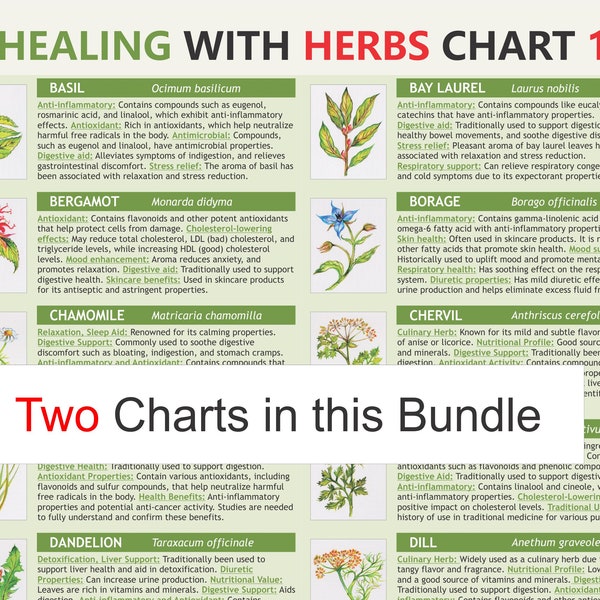 Healing Herbs Charts. Medicinal herbs, Digital Download PDF, herbs properties, healing herbs, culinary herbs, herb information.