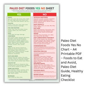 Paleo Diet Foods Yes No Chart – A4 Printable PDF – Foods to Eat and Avoid, Paleo Diet Guide, Healthy Eating Checklist