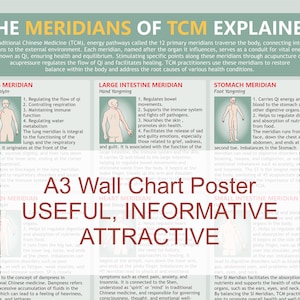 TCM Meridians A3 Poster: Chinese Medicine Chart (Digital Download)