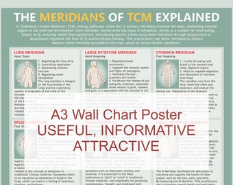 TCM Meridians A3 Poster: Chinese Medicine Chart (Digital Download)