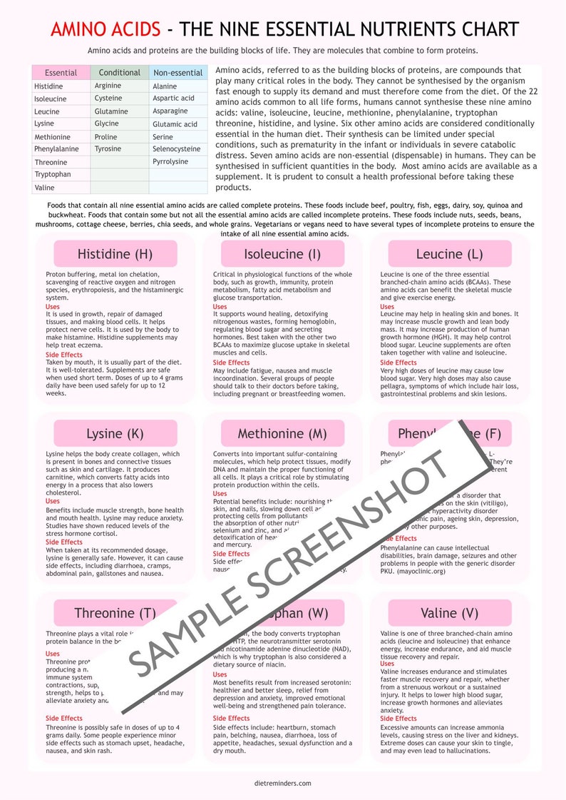 Amino Acids Chart, Digital Download PDF, Essential Amino Acid, Health