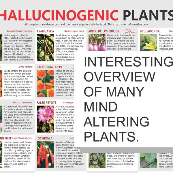 Hallucinogenic Plant Chart, digital download PDF,  Trippy Plants, Botanical Alcaloids, magic mushroom