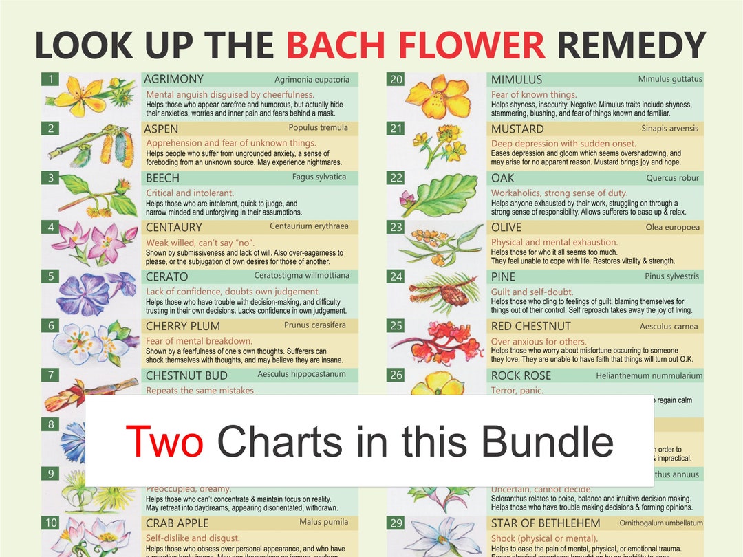 Bach Remedies, Self-help, Digital Download PDF, Bach Flower Remedies