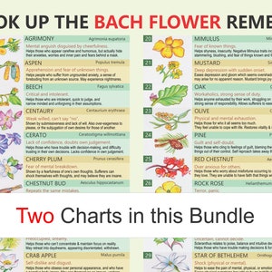 Bach Remedies, self-help,  digital download PDF, Bach Flower Remedies, Edward Bach Remedies, Bach self-help, Bach Remedies moods