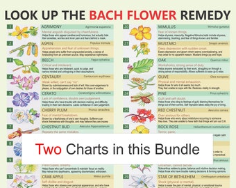 Bach Remedies, self-help,  digital download PDF, Bach Flower Remedies, Edward Bach Remedies, Bach self-help, Bach Remedies moods