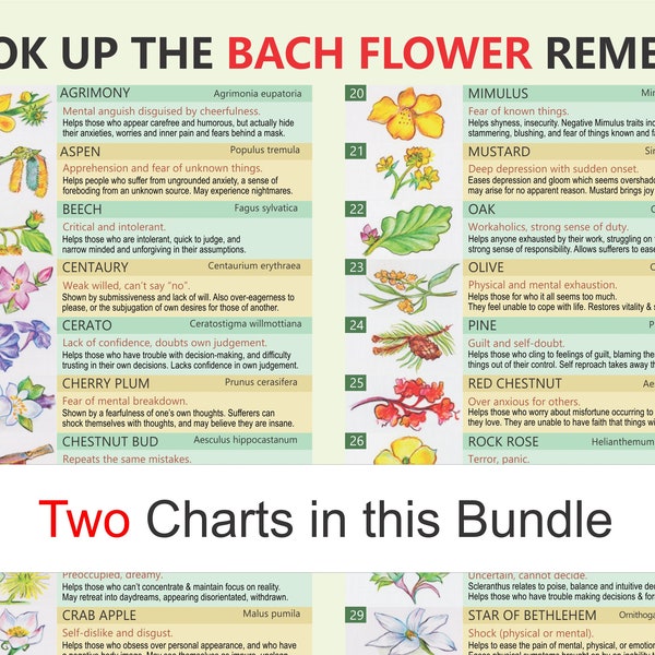 Bach Remedies, self-help,  digital download PDF, Bach Flower Remedies, Edward Bach Remedies, Bach self-help, Bach Remedies moods