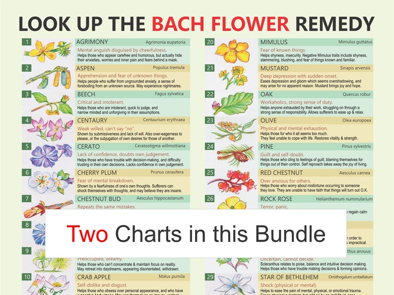 Bach Remedies, Self-help, Digital Download PDF, Bach Flower Remedies