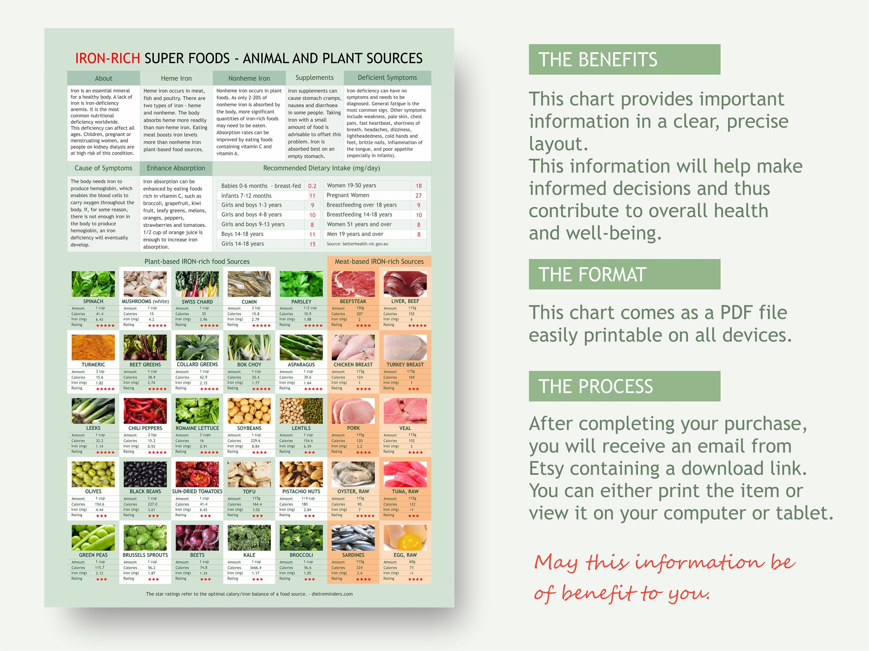 Ironrich Food Chart, Digital Download PDF, Ron Levels Chart, Plant