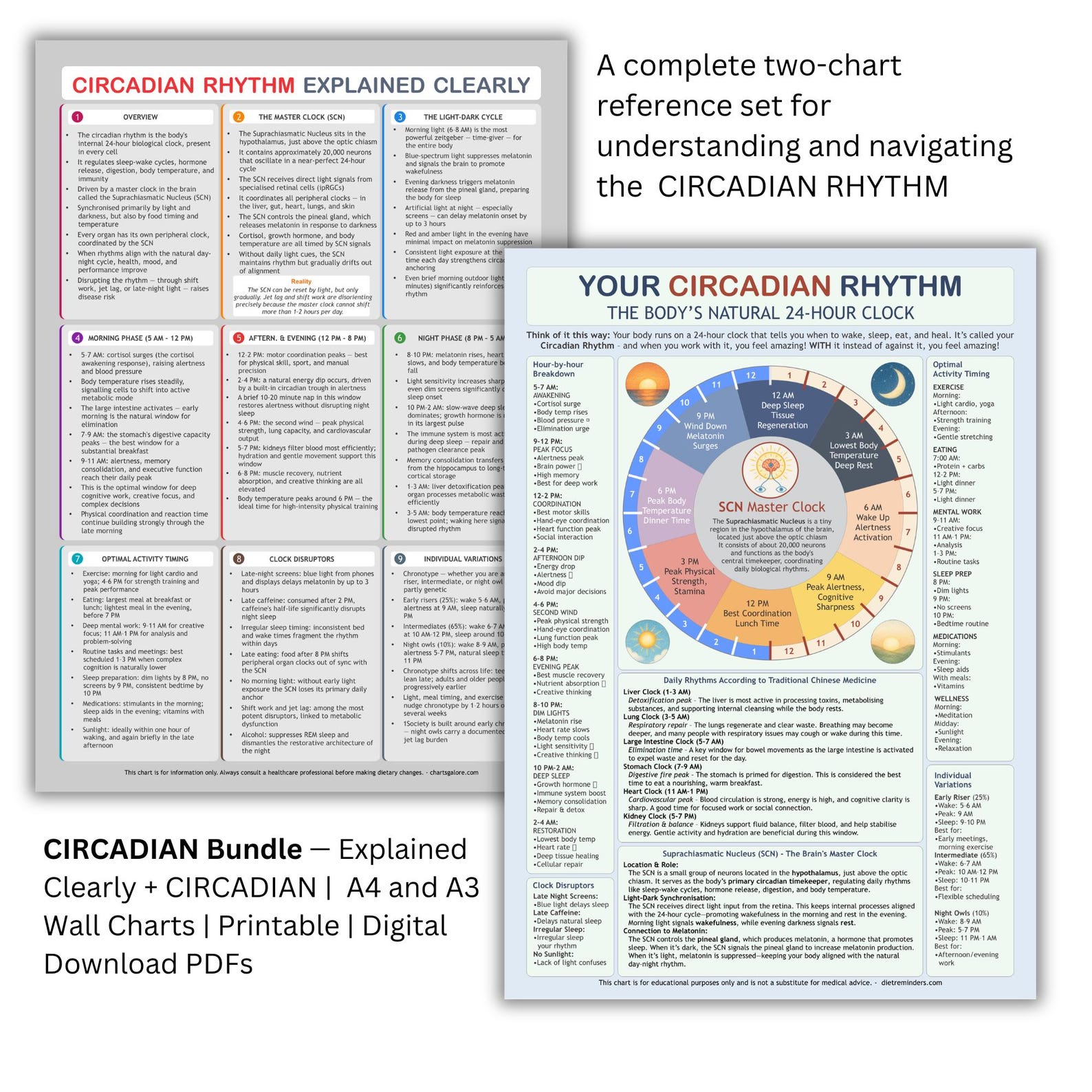 Circadian Rhythm Bundle: Body Clock & Sleep Cycle Guide (digital ...