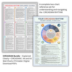 Peut inclure: Deux tableaux muraux éducatifs expliquant le rythme circadien. L'un est intitulé "Circadian Rhythm Explained Clearly" et l'autre "Your Circadian Rhythm". Les tableaux sont blancs avec du texte et des diagrammes colorés.