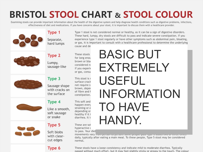 Bristol Stool Chart, digital download PDF, stool health, healthy poop, pooping problems, hard stools, diarrhoea issues image 1