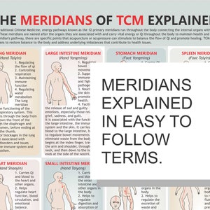 TCM Meridians Chart, digital download PDF, chinese medicine, meridian massage, pressure points, East Asian Medicine