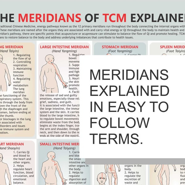 TCM Meridians Chart, digitale download PDF, Chinese geneeskunde, meridiaanmassage, drukpunten, Oost-Aziatische geneeskunde