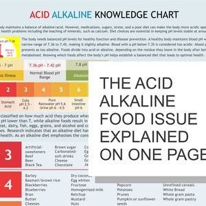 Acid Alkaline Chart • Alkaline Diet Guide • pH Food Reference • A3 PDF Digital Download Printable