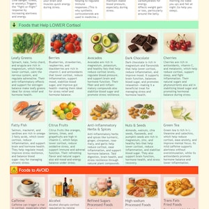 Peut inclure: Tableau informatif sur le cortisol et les aliments qui l'influencent. Comprend des images de l&eacute;gumes-feuilles, de baies, d'avocats, de chocolat noir, de cerises, de poissons gras, d'agrumes, d'herbes, de noix et de th&eacute; vert. Liste &eacute;galement les aliments &agrave; &eacute;viter.