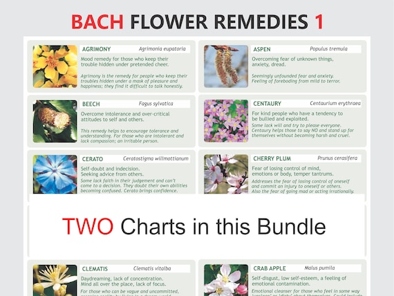 バッチフラワーレメディチャート • BFRエッセンスガイド • レスキュー