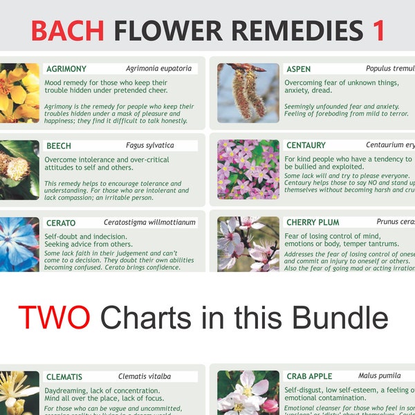 Bach Flower Remedies,  digital download PDF, rescue remedy, BFR essences, bach homeopathy, flower essence