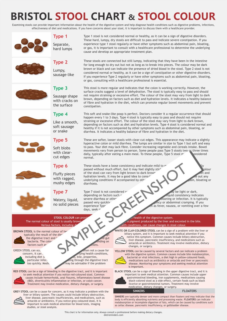 Bristol Stool Chart, digital download PDF, stool health, healthy poop, pooping problems, hard stools, diarrhoea issues image 4