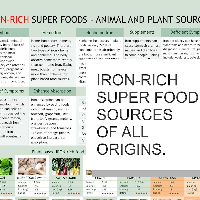 Iron Rich Foods Chart Etsy