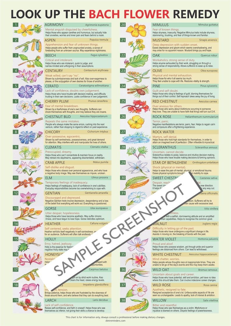 Bach Remedies, Self-help, Digital Download PDF, Bach Flower Remedies