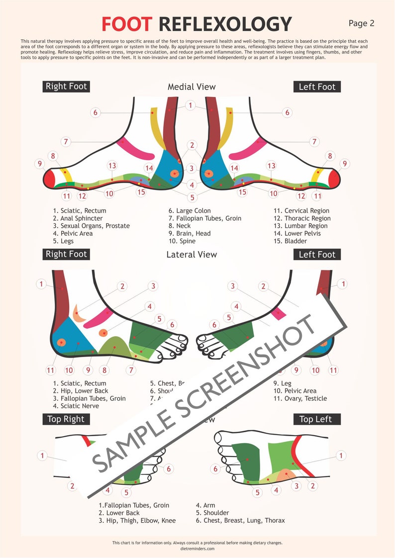 Foot Reflexology Chart, Digital Download PDF, Reflexology Chart