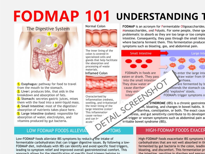 FODMAP Diet Guide: Printable A4 Chart for IBS Relief (PDF Download ...
