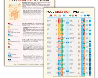 Food Digestion Charts: Energy, Bloat & Sleep Impact (PDF Downloads