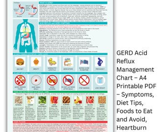GERD Food and Symptom Reference Chart (A4 Printable PDF)