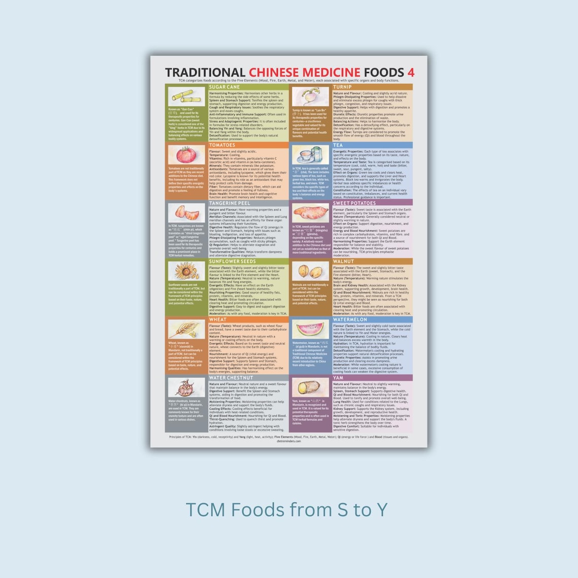TCM Food Chart: Traditional Chinese Medicine Diet Guide (A4 Digital ...