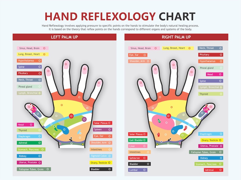 Hand Reflexology Chart, Digital Download PDF, Reflexology Chart Hand Reflexology Chart, Digital Download PDF, Reflexology Chart