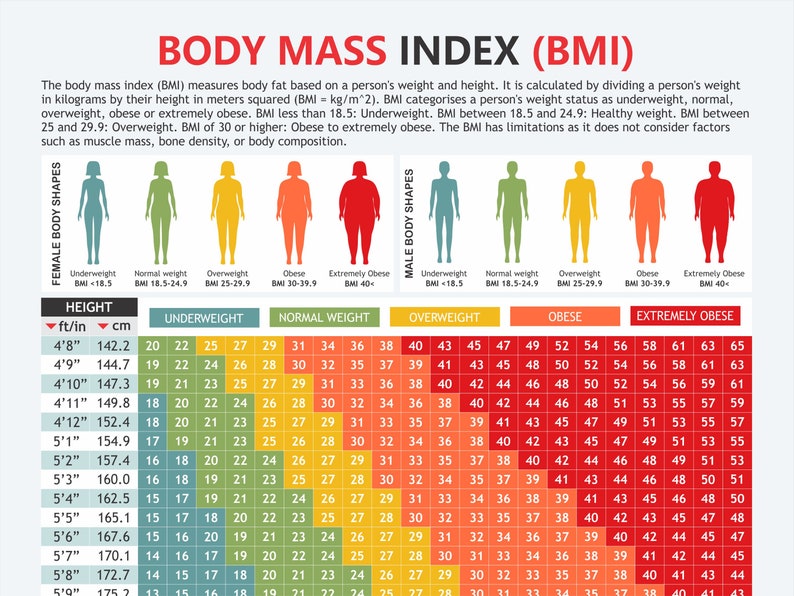 Body Mass Index Chart, Digital Download PDF, Height and Weight, Body Fat, Healthy Weight, Waist