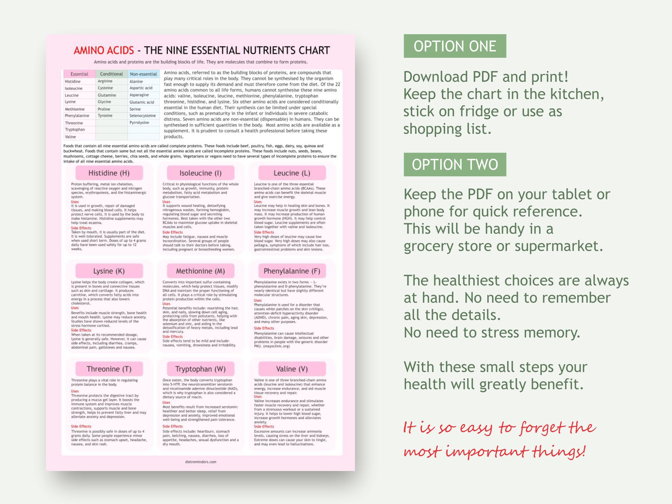 Printable Amino Acid Chart