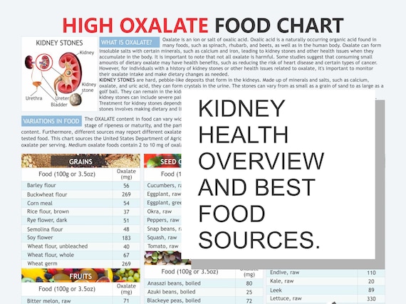 High Oxalate Food Chart | Kidney Stone Diet & Oxalate Awareness Guide | Digital Download A4 PDF