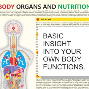 Könnte beinhalten: Eine farbige Illustration des menschlichen Körpers mit beschrifteten und nummerierten Organen. Der Text "Basic Insight Into Your Own Body Functions." wird in großen, fetten Buchstaben angezeigt.