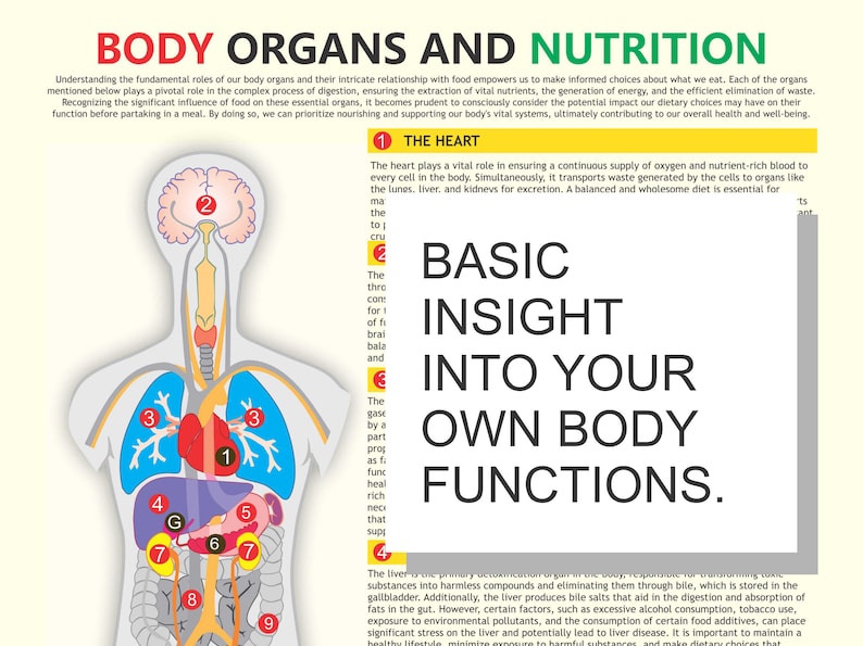 Body Organs and Nutrition, Organ Functions, Digital Download, PDF File ...