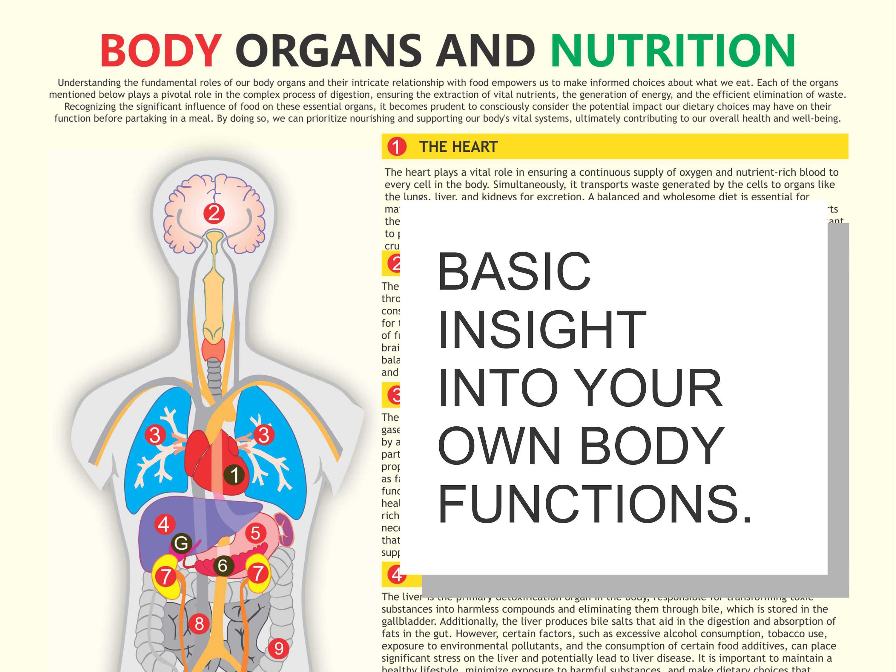 Body Organs and Nutrition, Organ Functions, Digital Download, PDF File ...