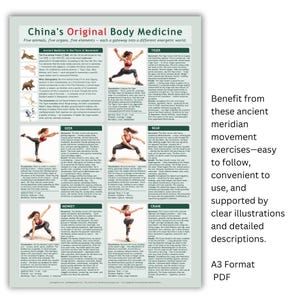 May include: A poster titled "China's Original Body Medicine" with text and illustrations of exercises. The poster includes the text "Five animals, five organs, five elements - each a gateway into a different energetic world." The poster is A3 format PDF.