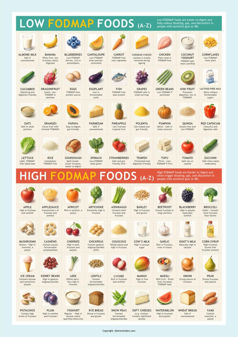 FODMAP Food Chart: A3 & A4 IBS Diet Guide (PDF) - Etsy Australia