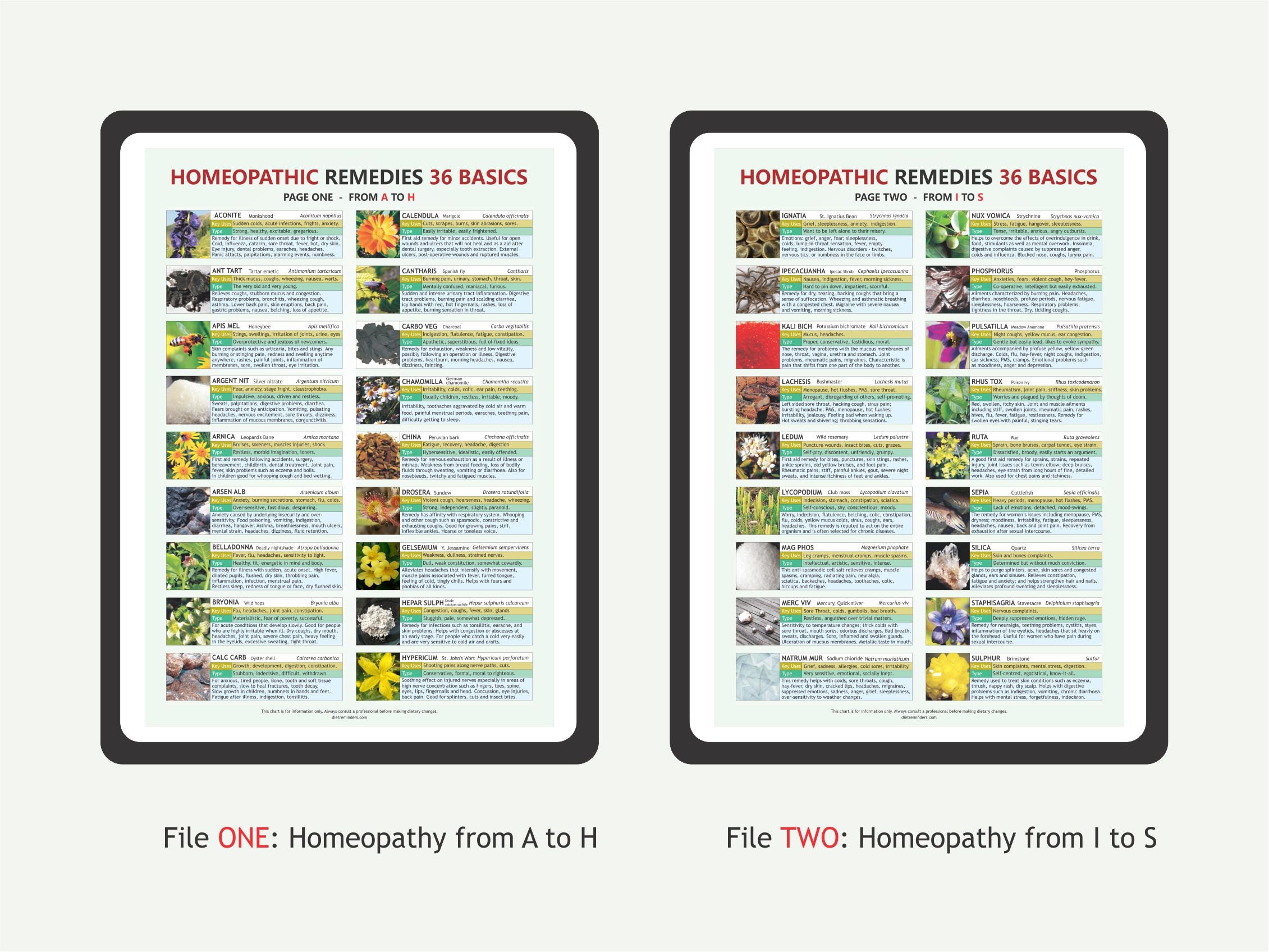 HOMEOPATHY Guide Chart, Digital Download PDF, Homeopathy Chart, Basic