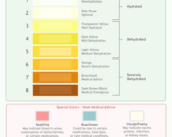 Urine Colour Chart A4 Poster: Hydration & Health Guide (Digital Download)