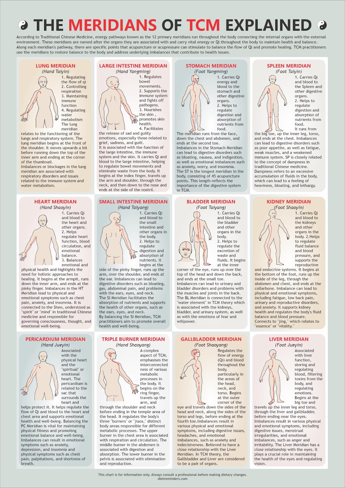 Traditional Chinese Medicine Meridians Chart | TCM Acupuncture ...