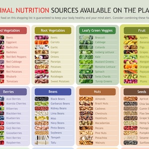 May include: A colorful infographic lists optimal nutrition sources, categorized into red and root vegetables, leafy greens, fruits, berries, beans, nuts, and seeds. Each category features various food items with images, promoting healthy eating habits.