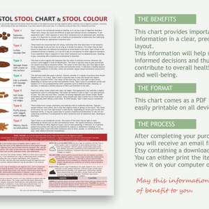 Bristol Stool Chart, digital download PDF, stool health, healthy poop, pooping problems, hard stools, diarrhoea issues image 3