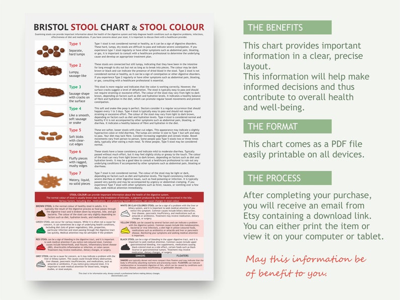 Bristol Stool Chart, digital download PDF, stool health, healthy poop, pooping problems, hard stools, diarrhoea issues image 3