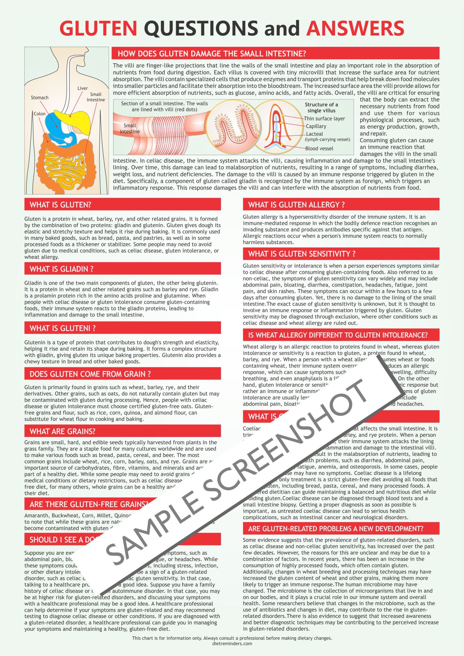 Glutenfree Food Chart, Digital Download PDF, Gluten Free Products