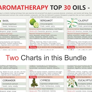May include: A chart with illustrations of 10 different essential oils, including Basil, Bergamot, Cajeput, Coriander, Cypress, and Eucalyptus. Each oil is described with its botanical name, common name, extraction method, blends, therapeutic properties, uses, and warnings. The chart is titled "Aromatherapy Top 30 Oils - 1".