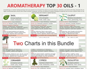 Aromathérapie - 100 huiles essentielles - Livre et ebook Thérapies