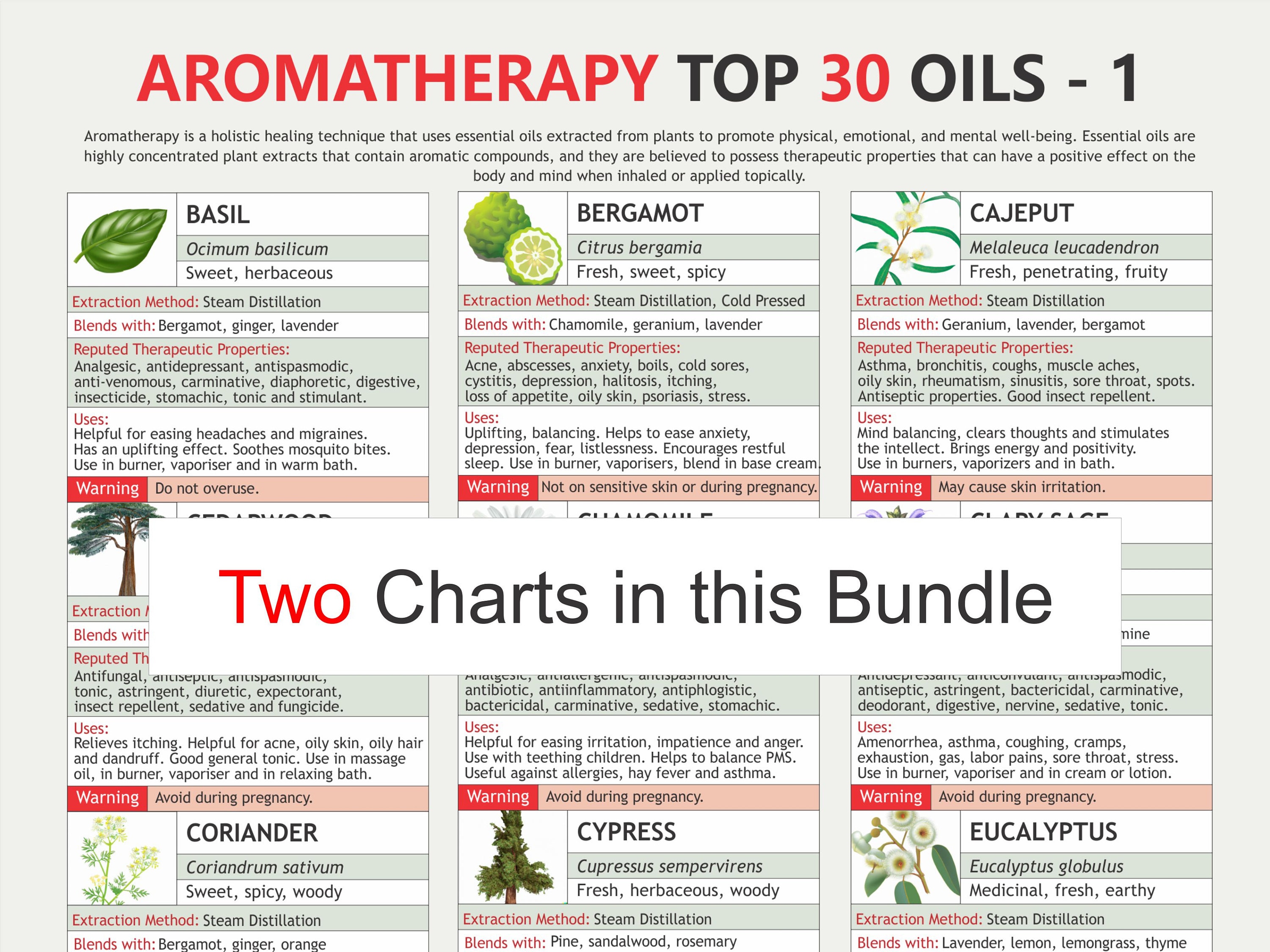 Top 30 Aromatherapy Oils Chart • Mood & Therapy Uses • Two A4 PDF  charts, Digital Download