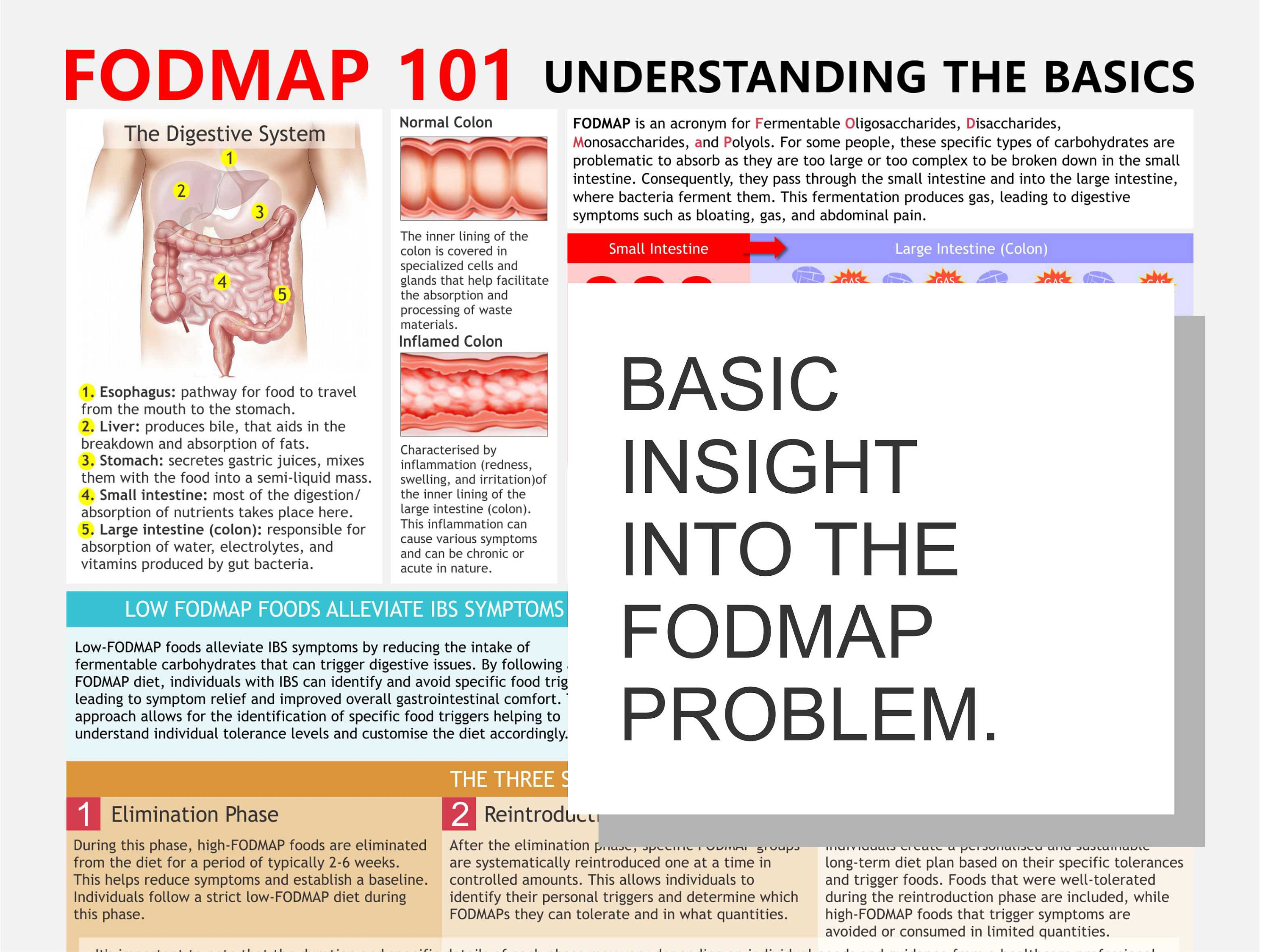 Fodmap 101 Understanding Fodmap Ibs Digital Download Irritable