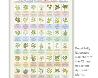 Ayurvedic Healing Plants Chart: Dosha Balancing Herbal Guide (A3 PDF Printable Download
